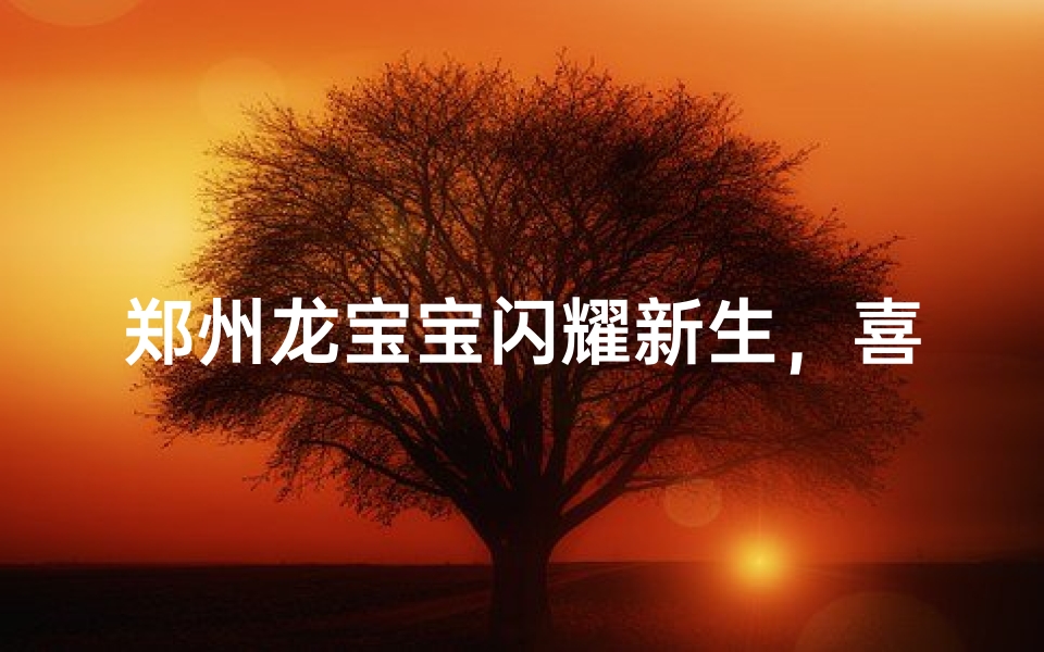 郑州龙宝宝闪耀新生,喜提独特吉祥名