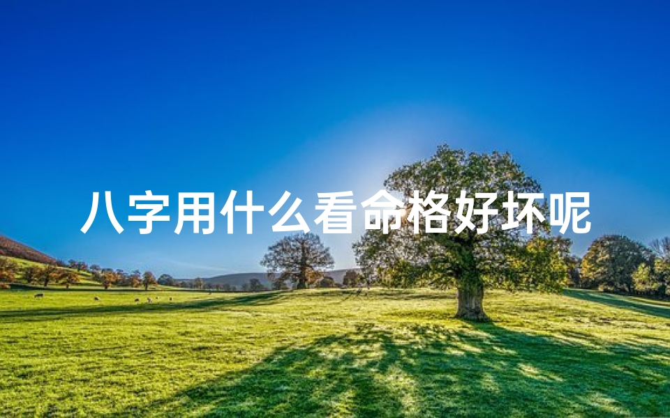 八字用什么看命格好坏呢、八字如何看什么命