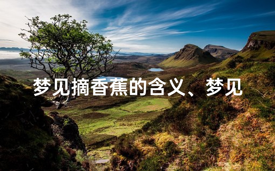 梦见摘香蕉的含义、梦见自己在摘香蕉