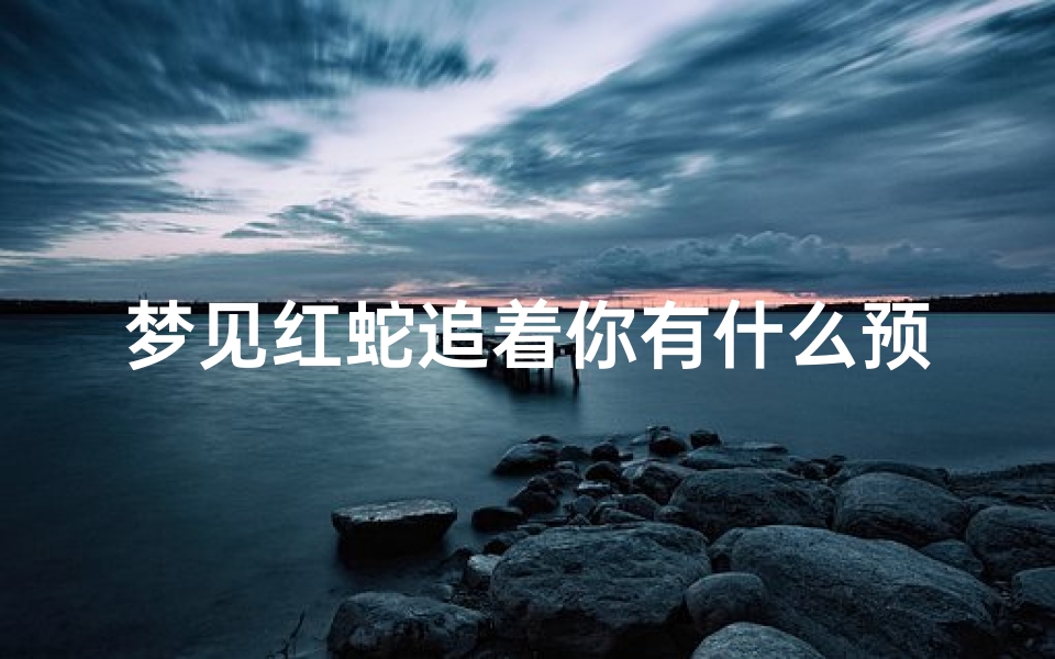 梦见红蛇追着你有什么预兆(梦到红蛇追着自己跑,我害怕得不得了)