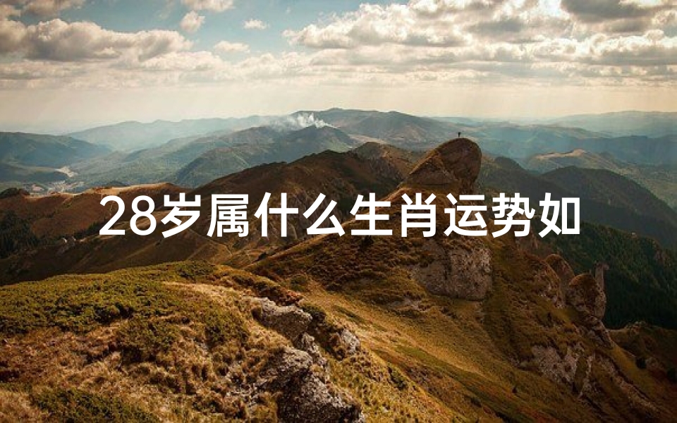 28岁属什么生肖运势如何