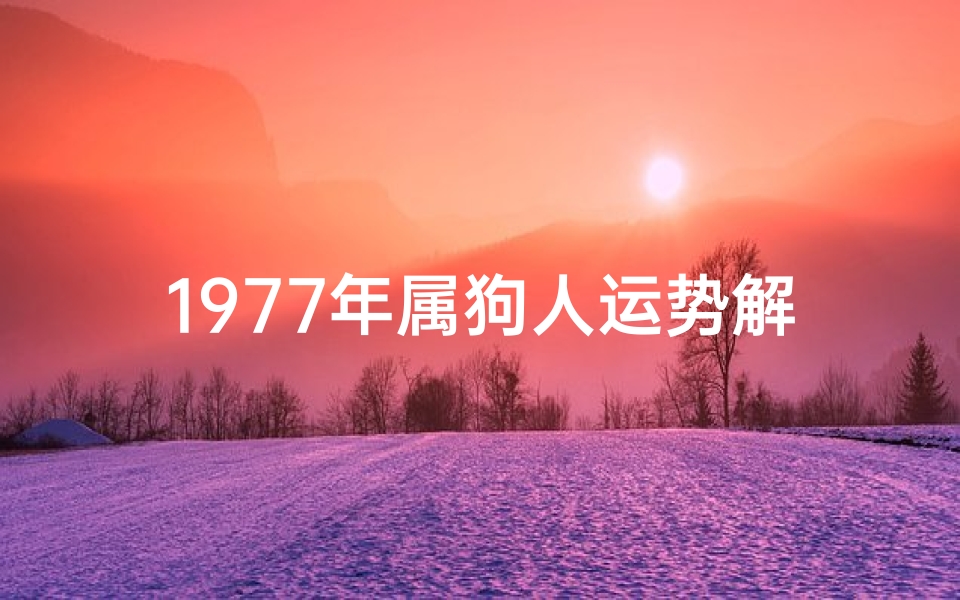 1977年属狗人运势解析,生肖狗全年运程详解