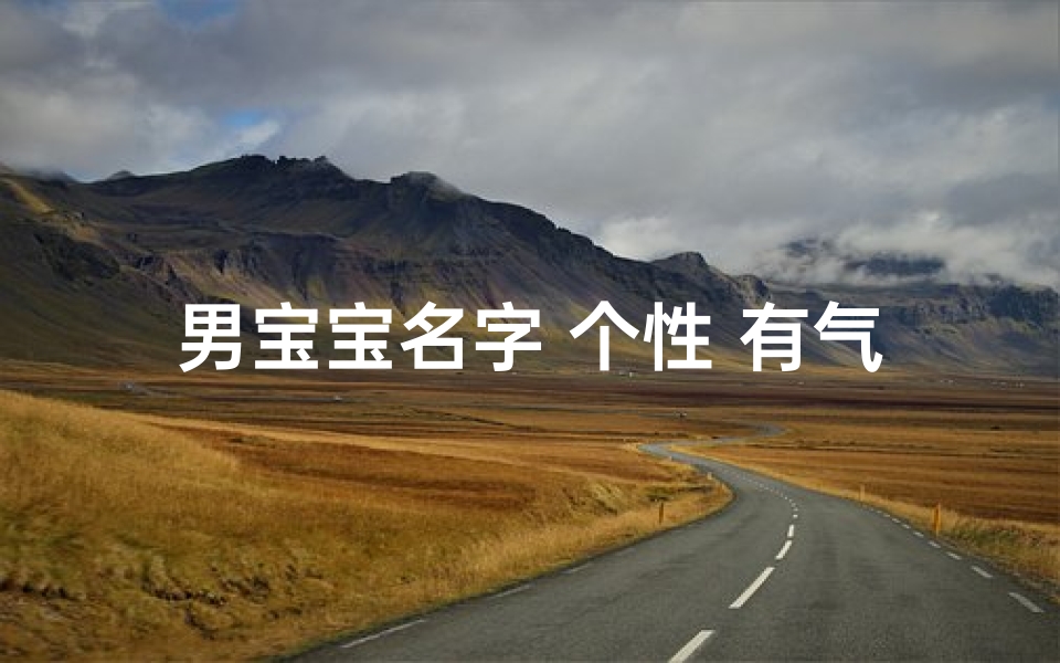 男宝宝名字 个性 有气质—《男宝宝姓氏取名大全集:精选百名佳名》