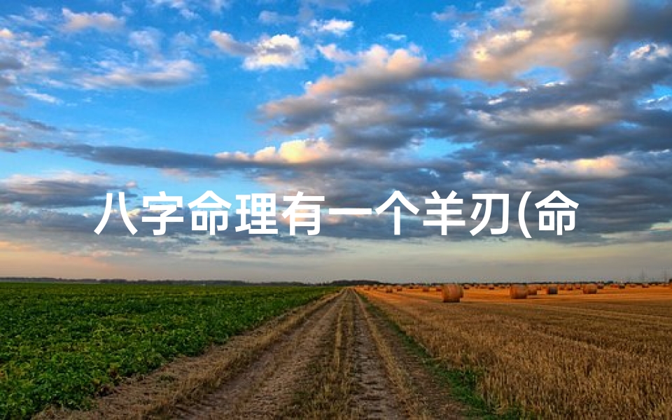 八字命理有一个羊刃(命带羊刃是什么意思)