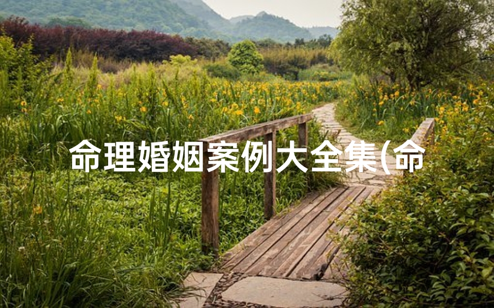 命理婚姻案例大全集(命理学中如何通过异性星的强弱分析命主婚姻关系)