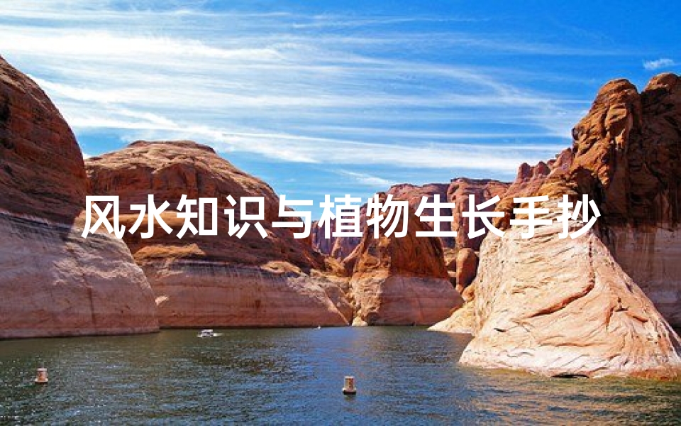 风水知识与植物生长手抄报(龙年手抄报的资料,急急急急急急急)