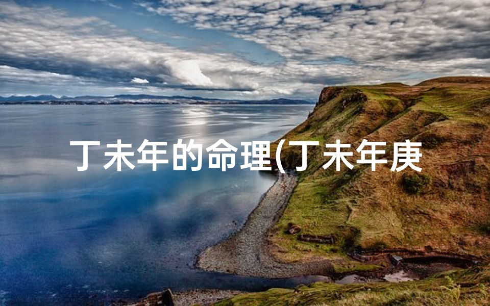 丁未年的命理(丁未年庚戊月戊戌日乙卯时五行命格 )