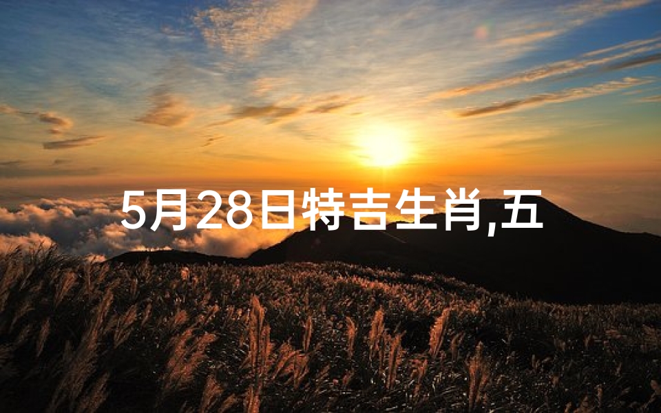 5月28日特吉生肖,五月二十八日生肖运势揭秘:运势起伏大揭秘-东贵算卦网